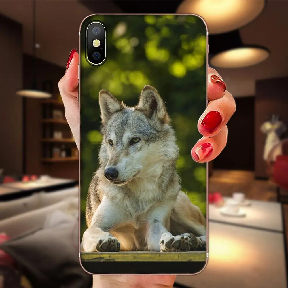 Wolf Dog Soft Tpu Phone Case For Huawei P7 P8 P9 P10 P20 P30 Lite Mini Plus Pro Y9 Prime P Smart Z 2018 2019 | Мобильные телефоны и