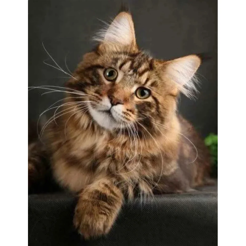 Алмазная вышивка 5D &quotсделай сам&quot животное кошка алмазная живопись квадратные