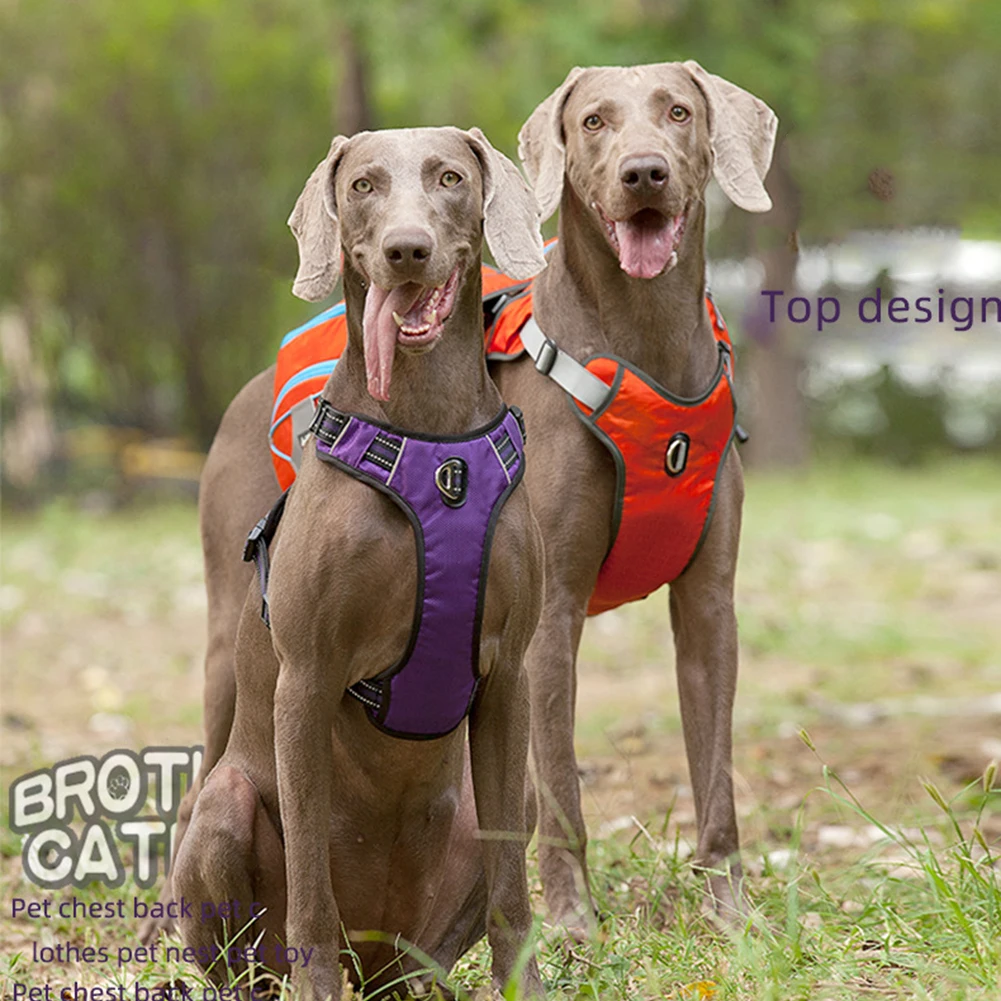 Сумка для собак со съемным жилетом и ремнем 12л сумка средних больших Для