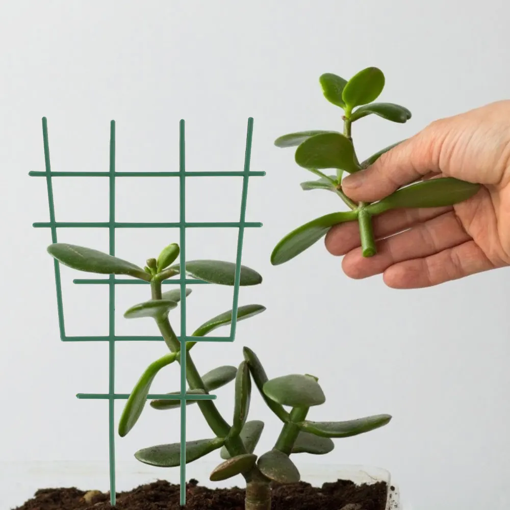 

Plant Vine Frame Can Be Combined Durable Balcony Planting Fruit Rack Climbing Vine Pillar Bracket Flower Stand Garden Supplies
