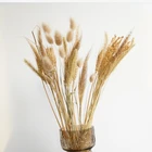 Натуральные сушеные цветы, букет кролика, ветка пшеницы, букет сделай сам для украшения дома, свадьбы, 20 шт.