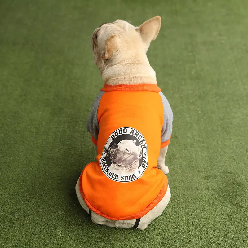 

Dog's clothes dog's head sweater two legged clothes trend pet supplies pet clothing straight