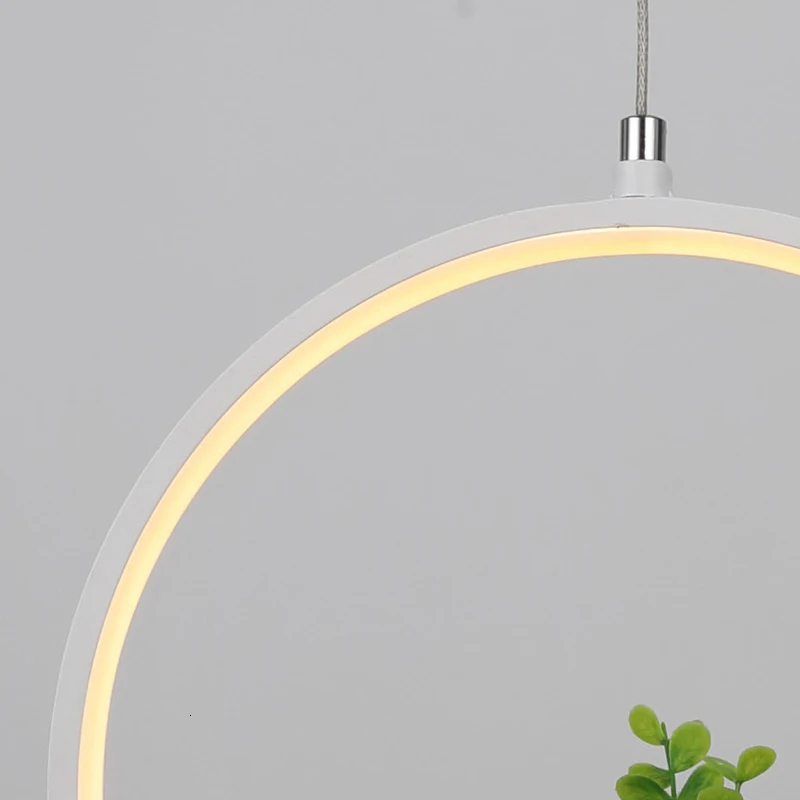 Дешевая цена корзина для растений домашний офис цветочный магазин ботанический