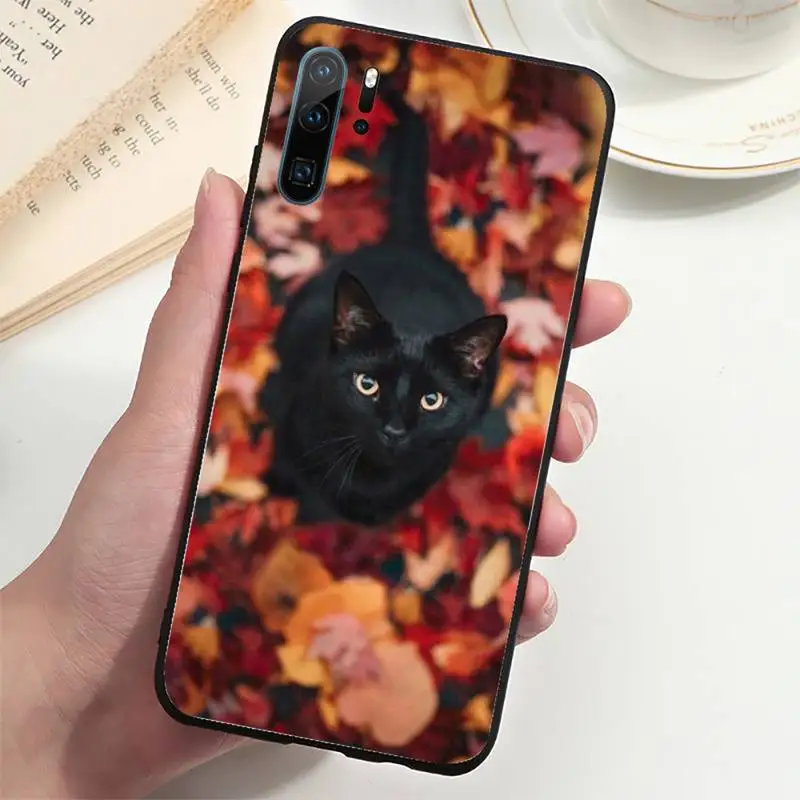

Black Cat Staring Eye On Phone Case For Samsung s7 8 9 10 20 plus lite ULTRA Cover Fundas Coque