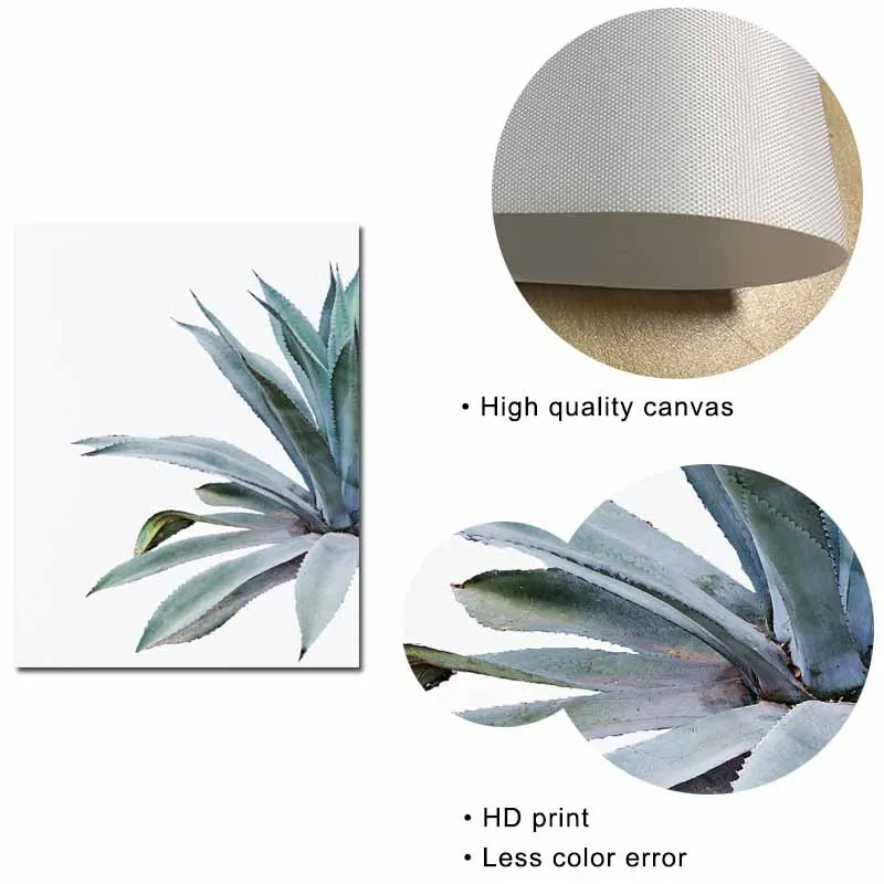 Агава кактус печати сочные плакат ботанический настенная Современная