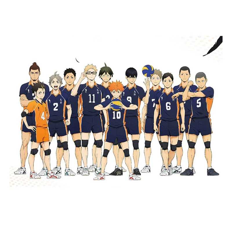 Diy Цифровая краска ing волейбол мальчик цифровая Haikyuu Япония стиль мультфильм