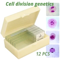 12 pcs cell division genetics biological microscope various specimens selected prepared slides onion anthers meiosis micro slice