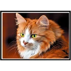 Алмазная живопись 5D 