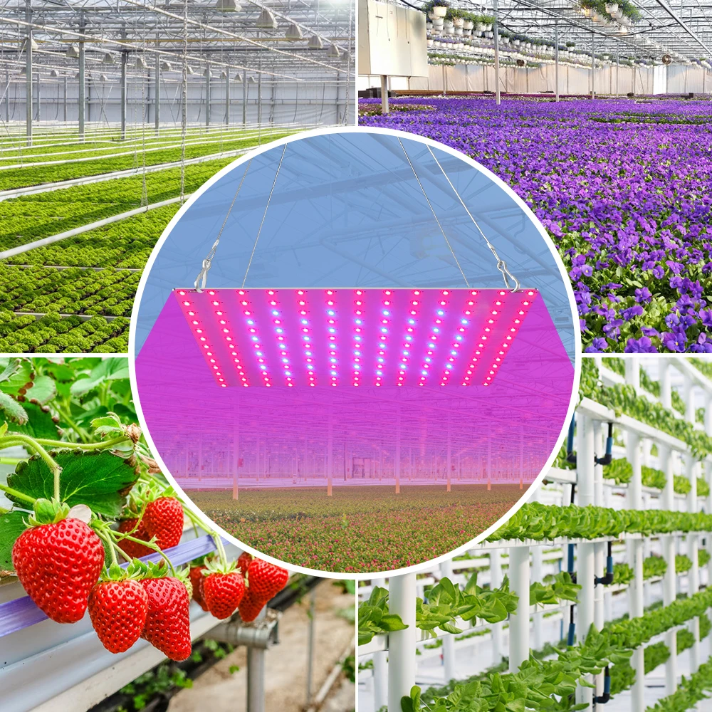 

LED Panel Grow Light Plant Full Spectrum Lamp EU US UK Plug Indoor Phyto Seed 220V Grow Tent Box 20W 40W Seedling Fito Lamp 2835