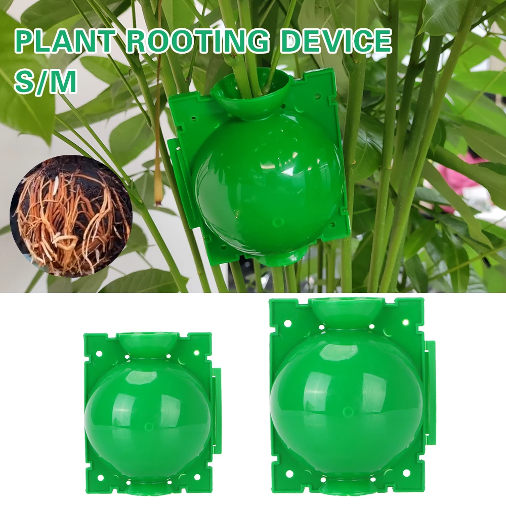

Plant Rooting Ball Breeding Growing Box For Garden Garden Supplies Case Plant Root Growing Box Grafting Rooting