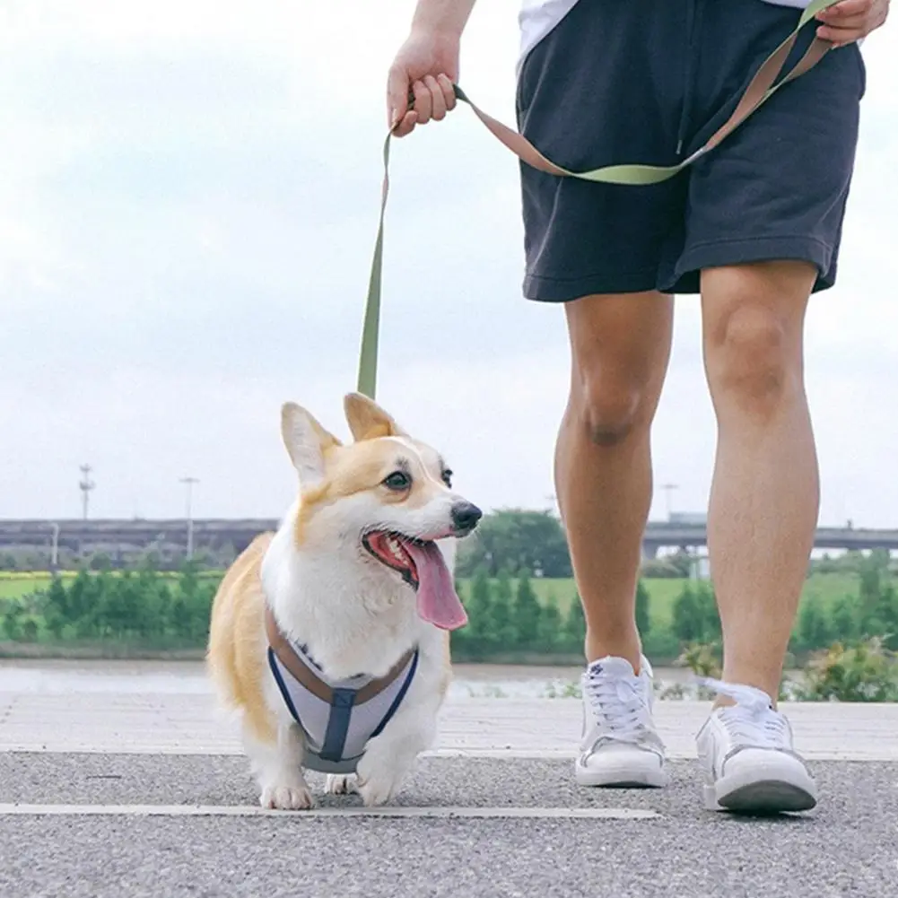 

Adjustable Dog Harness Strap Breathable Dog Chest Vest Leash