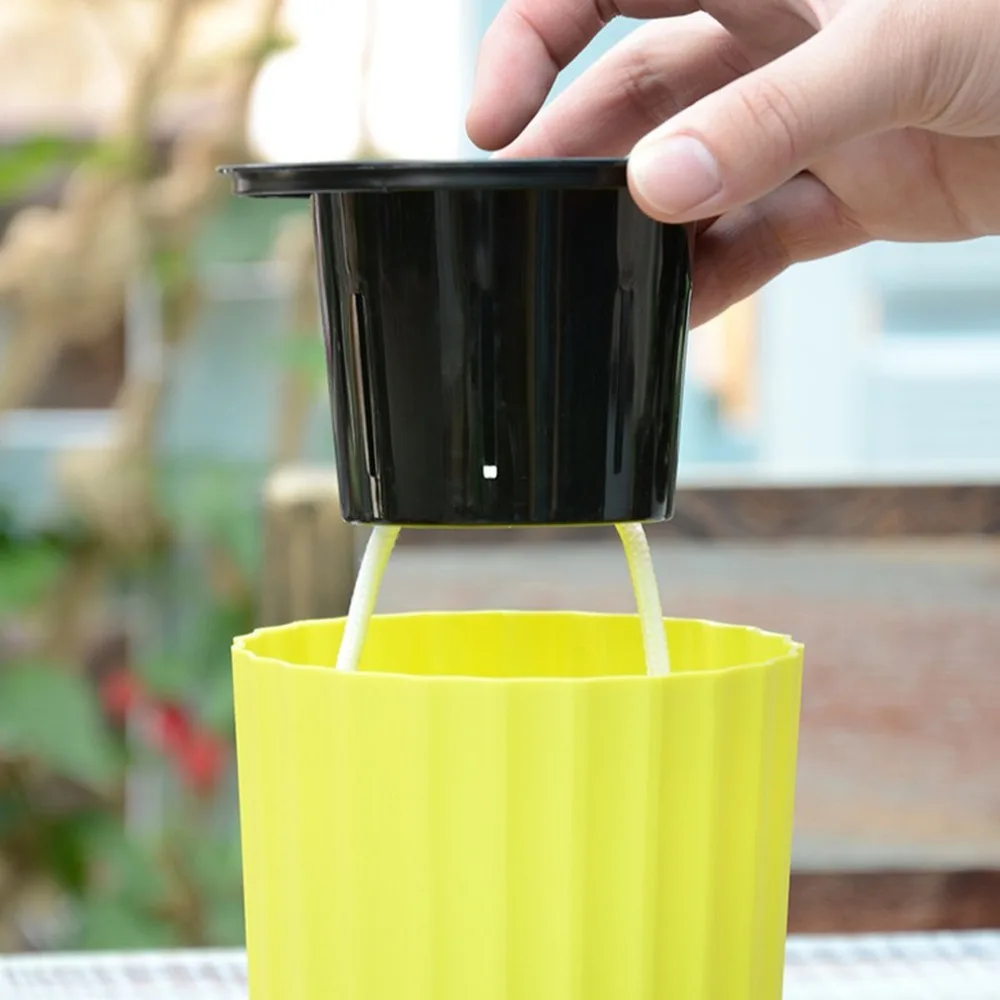 Автоматическая вертикальная полоска круглая форма самополивающееся растение