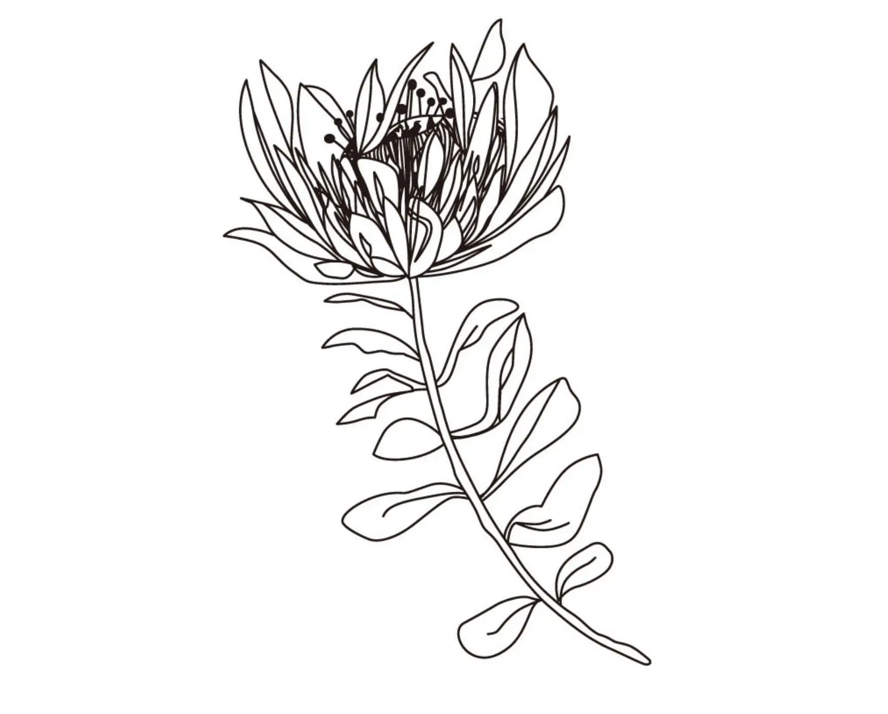 Прозрачный силиконовый штамп/печать для скрапбукинга своими