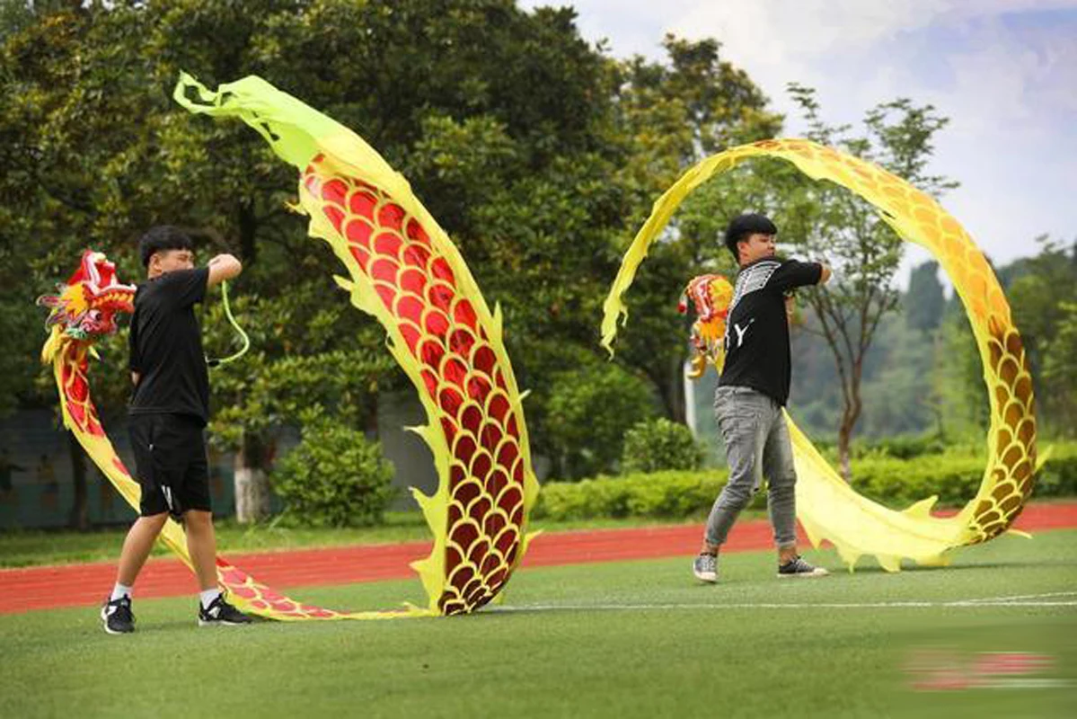 Классические спортивные упражнения для фитнеса и активного отдыха Golden 6M Dragon Dance