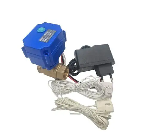Water Leakage Detection Valve Warn System DN15 DN20 DN25 BSP Motorized Ball Valve with Buzzer and Sensitive Water Detector Cable