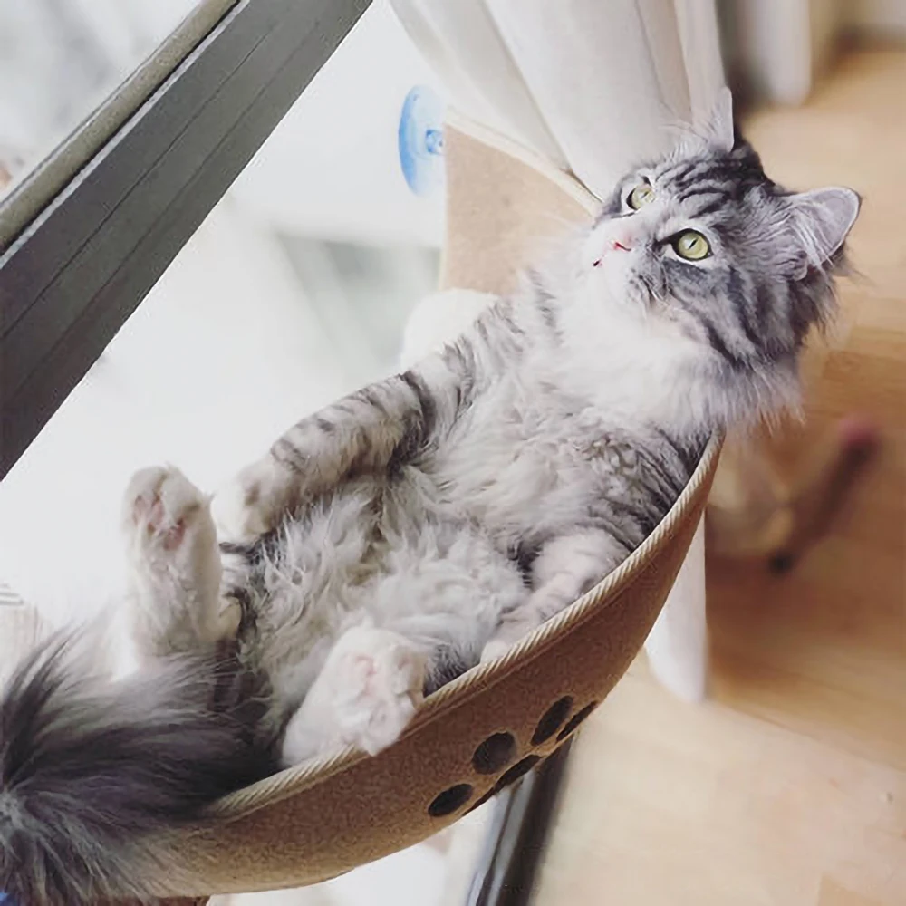 Окно кошка гамак кровать крепление Pod Lounger присоски теплая для домашних животных