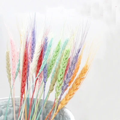 100pcs mix color 100 шт Натуральные Сушеные Цветочные букеты натуральные необработанные цвета Сушеные уши пшеничные букеты и пшеничные ушные пучки - Цвет: 100pcs mix color