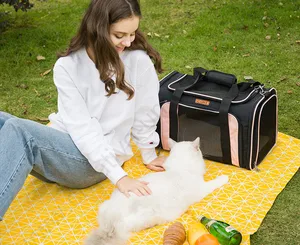 Переносная сумка для домашних животных, Экологичная Нетоксичная переноска с отверстиями, водонепроницаемая, сохраняет тепло, подъемная, для кошек и собак, 10 кг