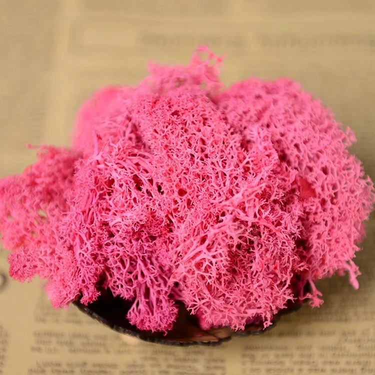 Вечный сушеный мох трава искусственный вечный сад домашний декор DIY сохраненный