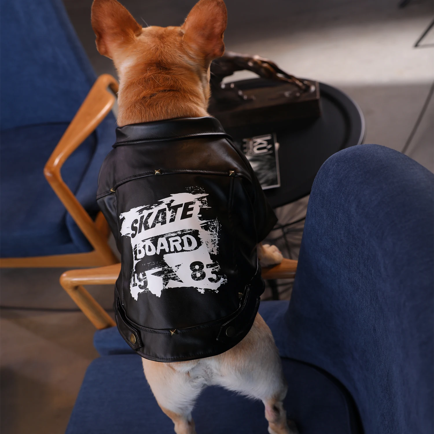 Hoopet Autumn Winter Clothing For Dogs Fashion Ropa Perro French Bulldog Jacke Handsome Leather Clothes Pet Dog Suppliers | Дом и сад