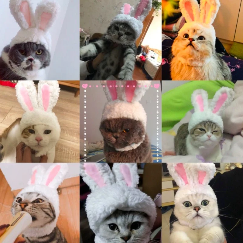 Кошек и собак повязка на голову с милым кроликом Косплэй Кепки кошка головной