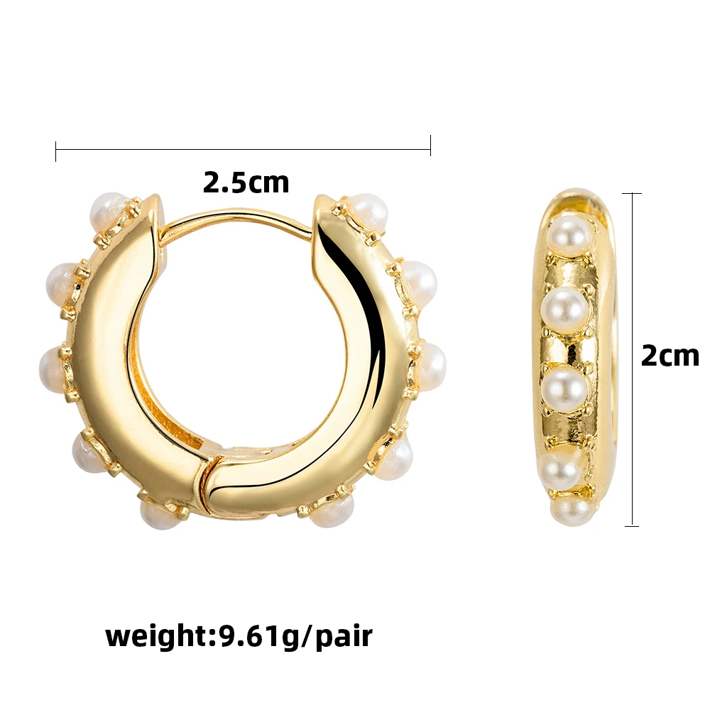 

Simple Big Geometric Hoop Earrings Stainless Steel Gold Color Circle Earrings for Women Fashion Punk Jewelry earrings