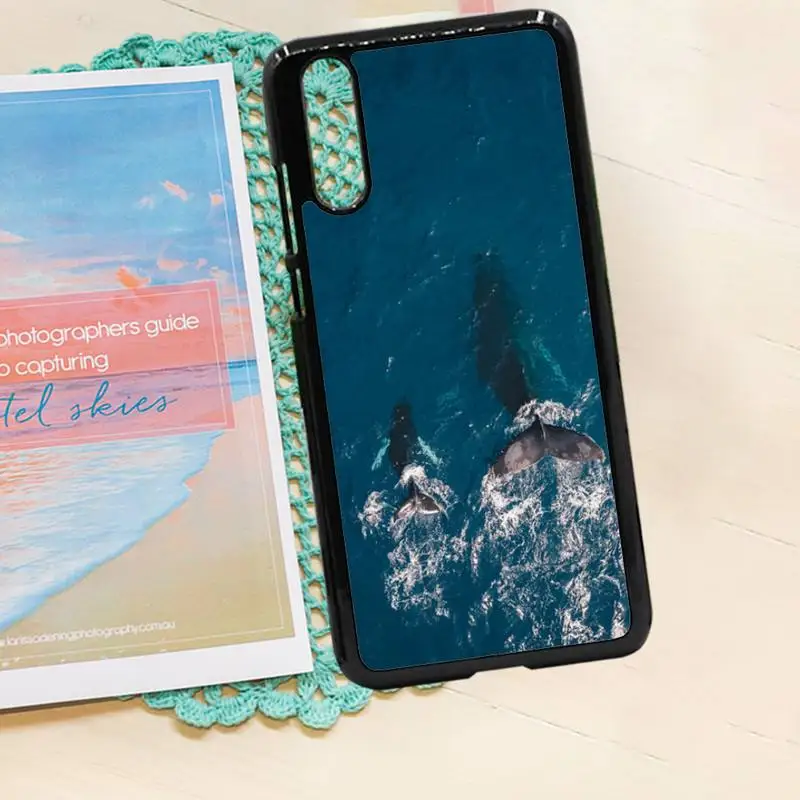 

Killer Whale Orca ocean animal Phone Case PC for iPhone 11 12 pro XS MAX 8 7 6 6S Plus X 5S SE 2020 XR