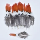 Натуральные дамские перышки фазана для рукоделия, перышки для изготовления ювелирных украшений, свадебное украшение, карнавал