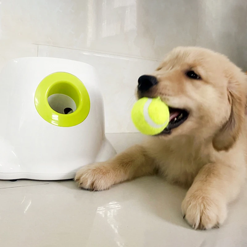 2021 новые игрушки для собак игры в теннис пусковая установка автоматическая