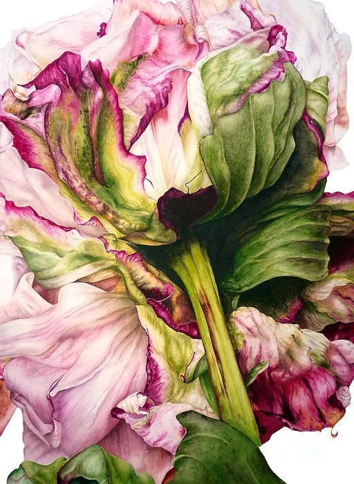 

JMINE Div 5D Peony Flower Full Diamond Painting cross stitch kits art High Quality Floral 3D paint by diamonds