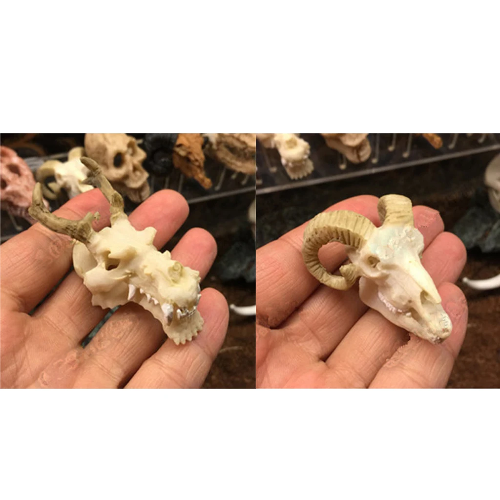 2 предмета из смолы для вивария рептилий украшения террариума DIY благоустройство