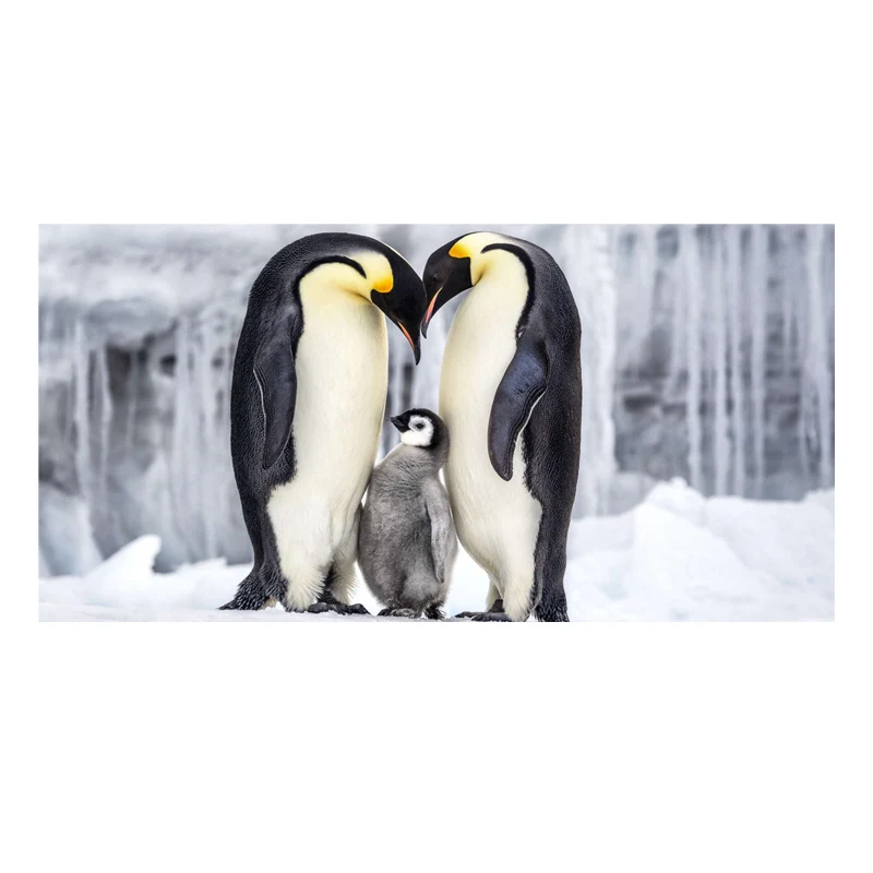 

Полотенце из микрофибры для пляжа и путешествий, с принтом в виде пингвина