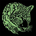 Светящиеся нашивки с леопардовым принтом для одежды, термопечать, светящиеся нашивки для одежды, флуоресцентные стикеры сделай сам, подарки