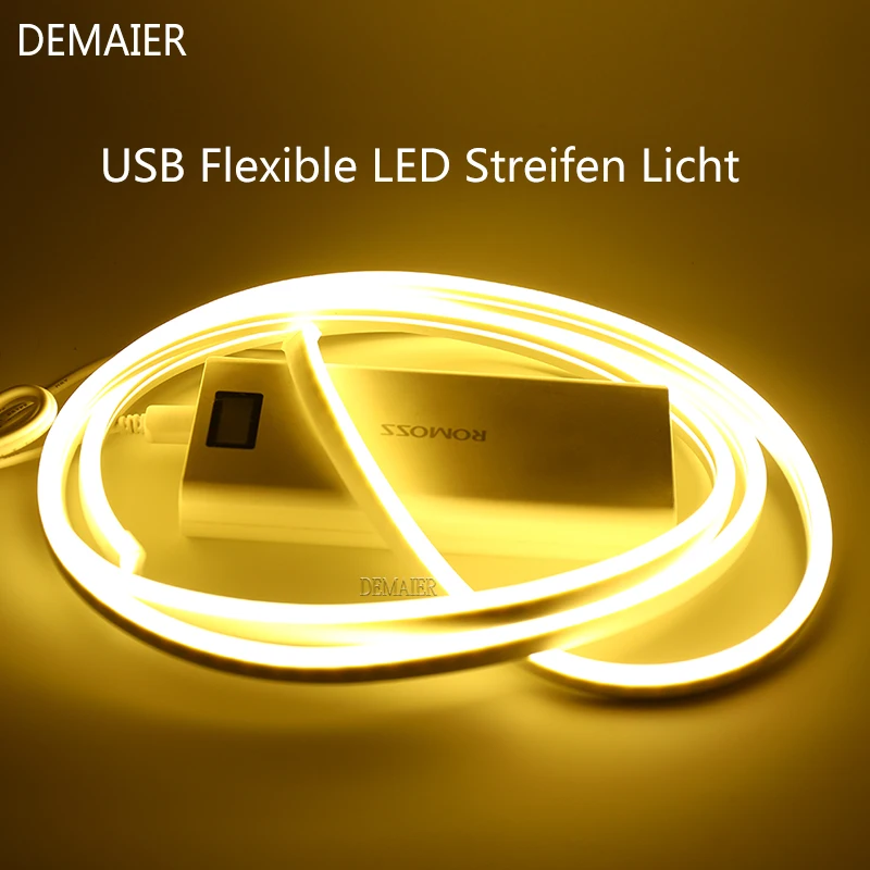 Tira de luces led con USB, lámpara de neón flexible, dekoration WS2812B Smart 5050 RGB, dirección individual de TV, Hintergrun
