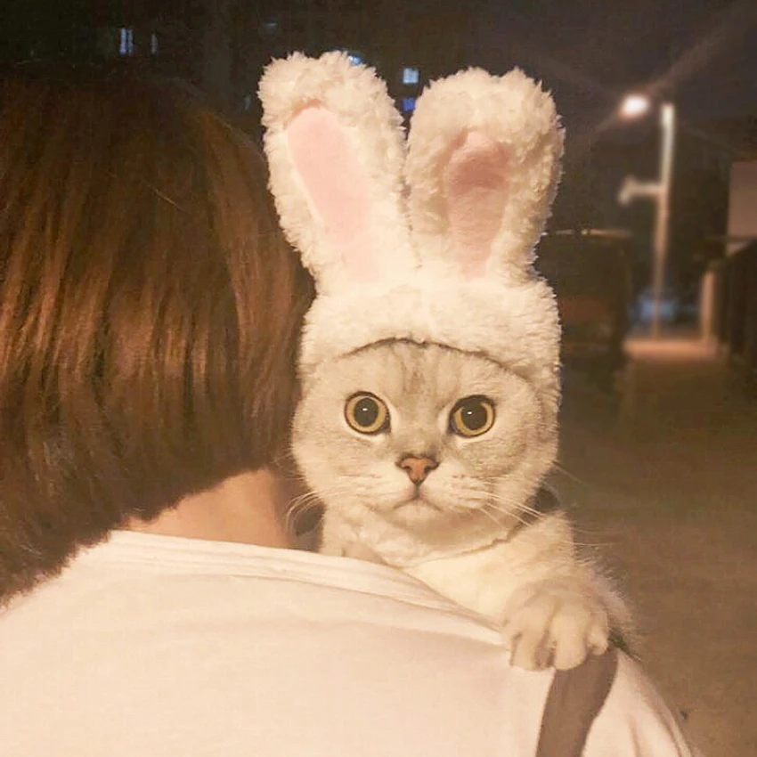 Белая шапка для собак и кошек плюшевая шляпа косплея головной убор маленьких |