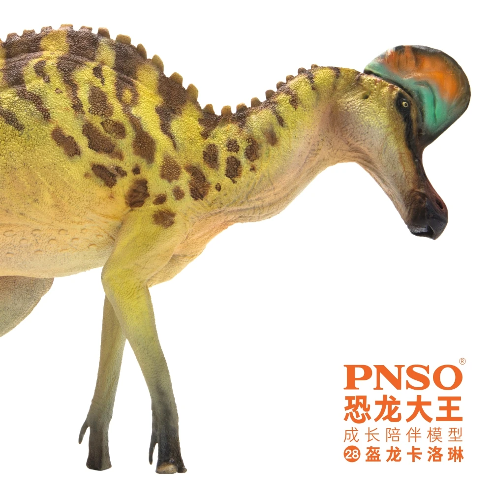 PNSO-dinosaurio prehistorico, modelos: 28, Ana, Corythosaurus-1