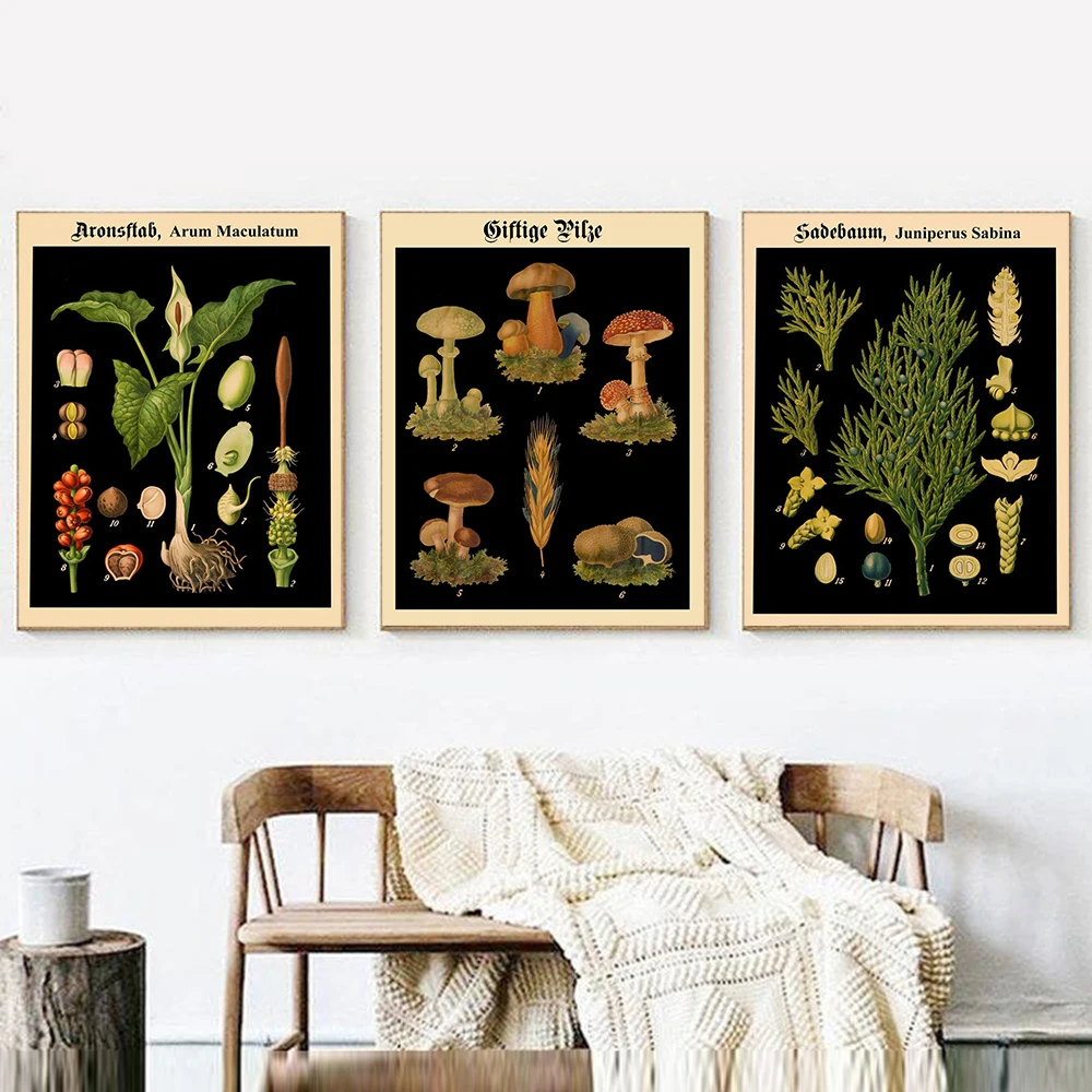 

Vintage Botanical Science Canvas Painting Wildflower Posters Prints Plant Illustrations Cuadros Wall Art Pictures for Home Decor