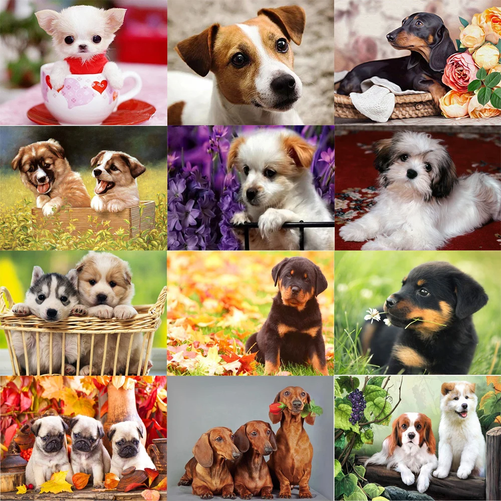 

DIY Diamond Animal Painting Wall Art Full Round Drill Cross Stitch Dogs Pictures 5D Embroidery Mosaic Handmade Home Decoration