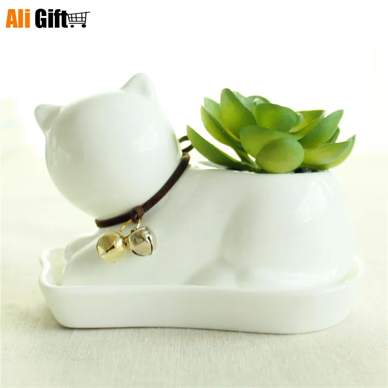 Горшок Кашпо для суккулентов белый керамический горшок растений|meat body|meat factoryflower