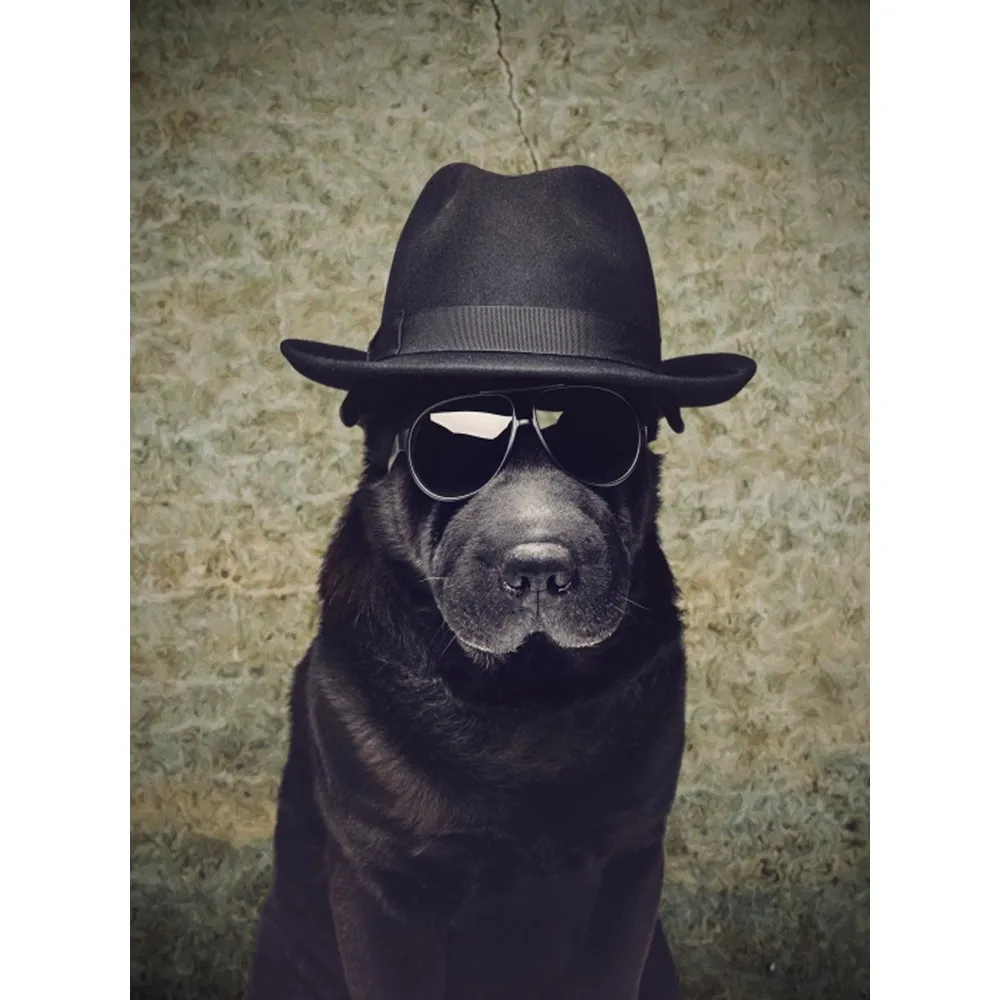 

Nitree Photo Studio Photography Props Abstract Vinyl Background of Old Cracks Photo Backdrops of Retro Era NI-20201106