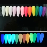 1Kg/Bag Acrylic Powder Glow in the Dark Acrylic Nail Powder  Luminous Colors Professional Polymer Powder for Nail Extension