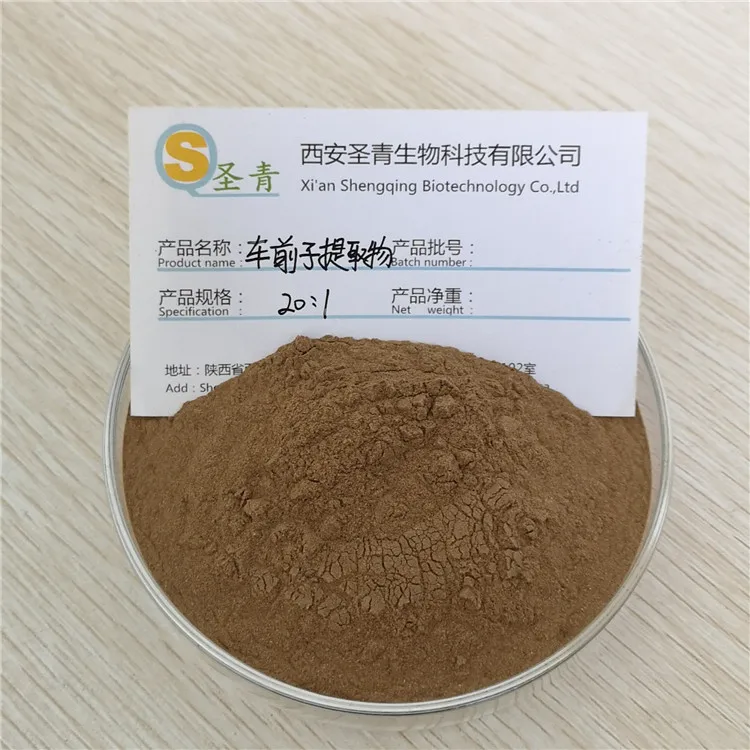 

CN Health 20:1 Natural Plantain Essence Powder 200 g Wild Plantain