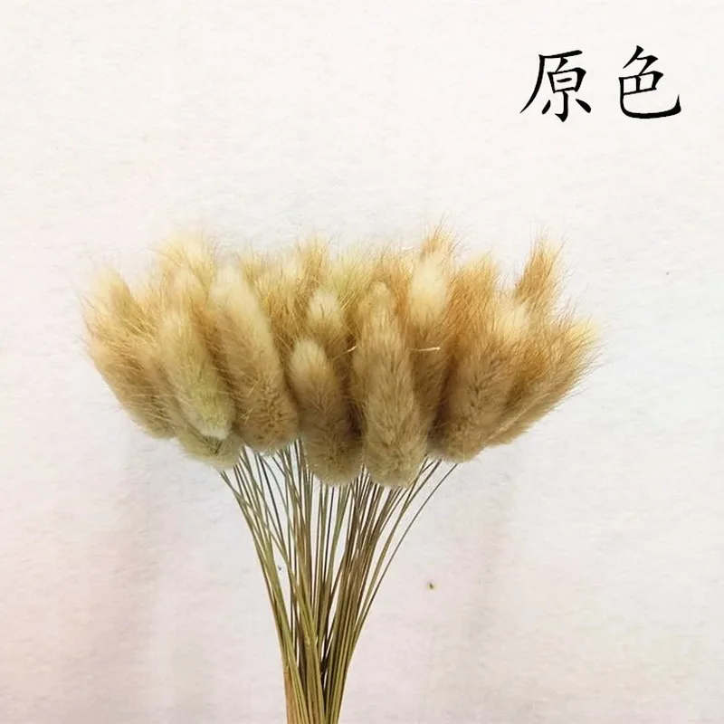 60 шт. кролик трава памп засушенные цветы Кролик хвост натуральные растения