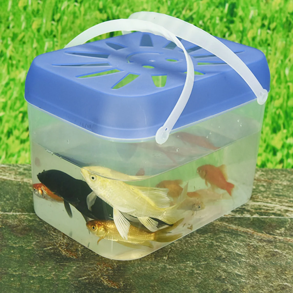 Large Portable Transparent PP Plastic Fish Tank Small Pet Nest for Home Decoration Random Color | Дом и сад