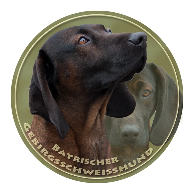 

S40355# Various Sizes PVC Decal Bavarian Mountain Hound Dog Car Sticker For Bumper Rear Window Laptop Refrigerator Toilet