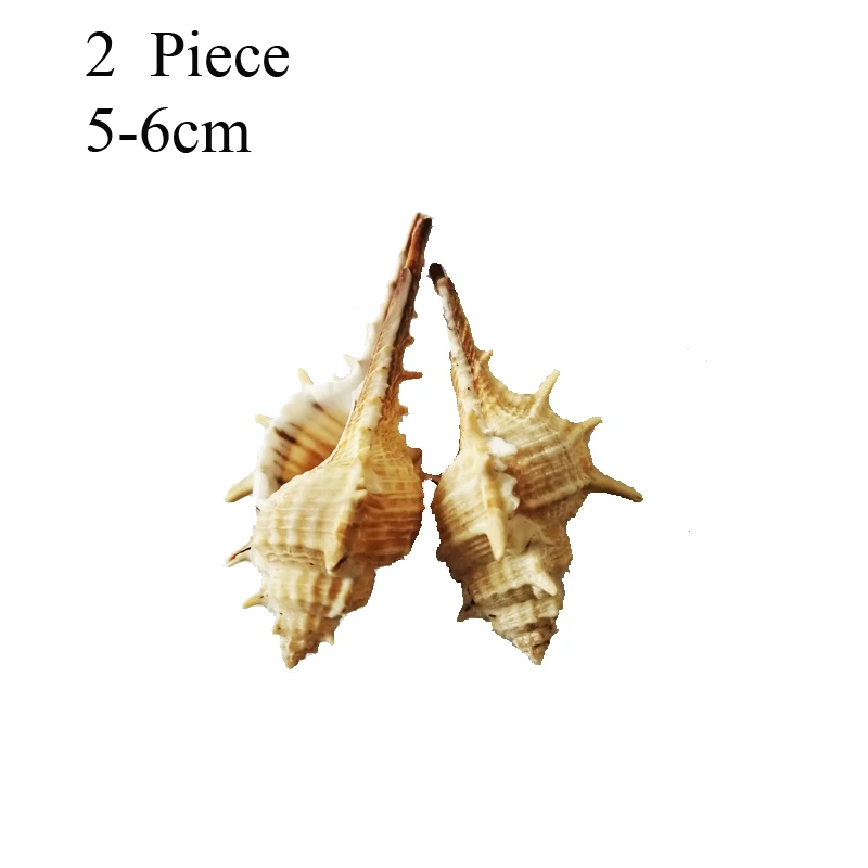 50g Small Sea Shells Mixed Ocean Beach Seashells-Natural Colorful shells Starfish Perfect for Vase Fillers | Дом и сад