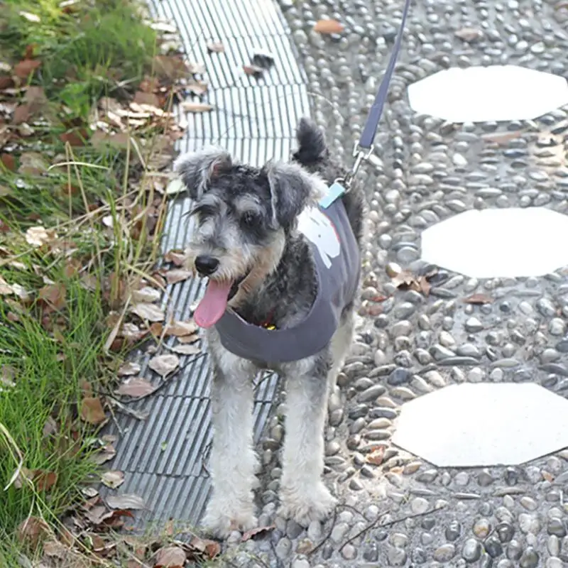 

1Pcs Pet Harness Leash Chest Strap Lead Vest Pet Chest Strap Dog Harness Dog Leash Set Pet Supplies