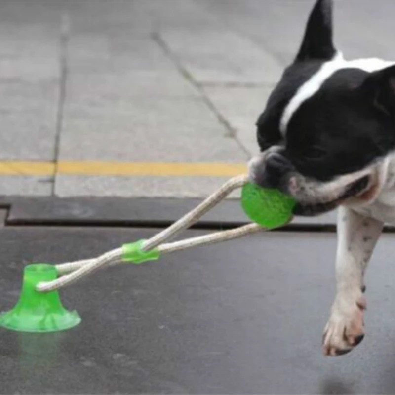 

Pet Toys with Suction Cup Dog Push Toy with TPR Ball Pet Tooth Cleaning Chewing Rubber Dog Toys for Small Dogs Rubber Dog Toy