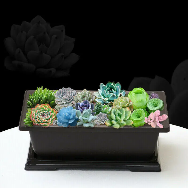 Large Flower Pot Rectangle Bonsai Nursery Planter Balcony Container 29X21X10.5cm | Дом и сад