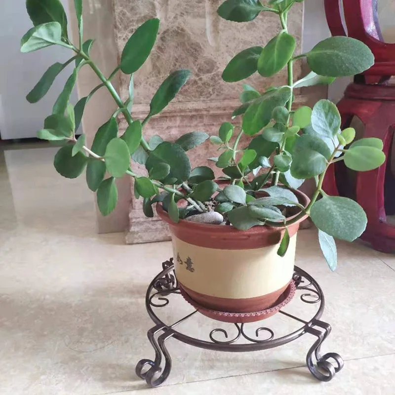 

European-style Floor Bonsai Metal Plant Stands Set For Flower Pot Potted Holder Indoor Outdoor Home Decorations 2021 summer new